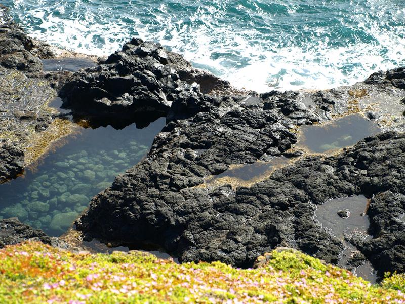 The Nobbies, Philip Island, September 2012